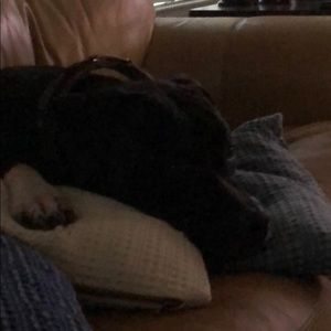 Meet your Posher, Lisa